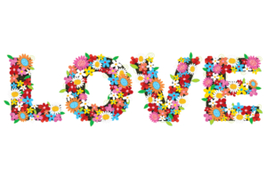 Flowers Love3884016152 300x200 - Flowers Love - Love, Flowers